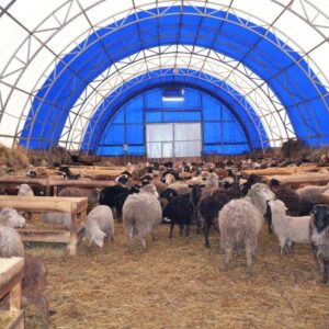 Будівництво тентових ангарів в Україні, тентові склади, тентові корівники, тентові зерносховища. - Tent.Ua