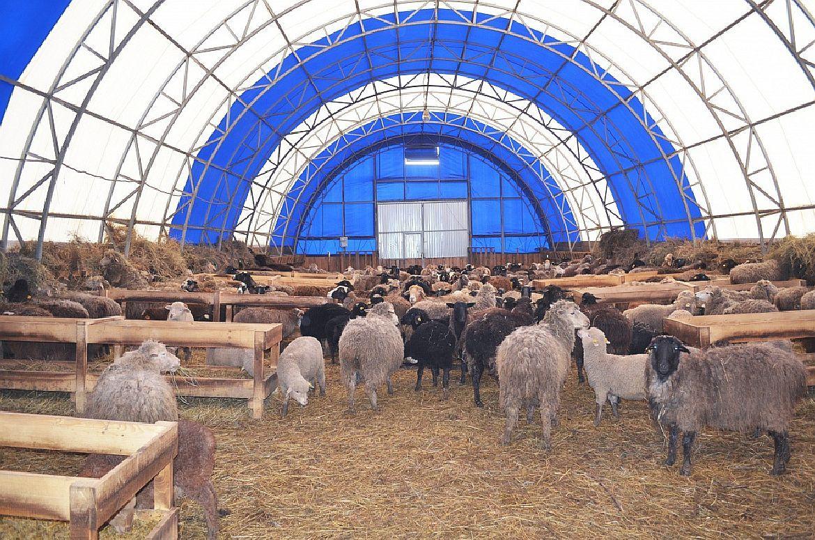 Будівництво Ангарів для сільського господарства від TENT.UA - Tent.Ua - Зображення 4